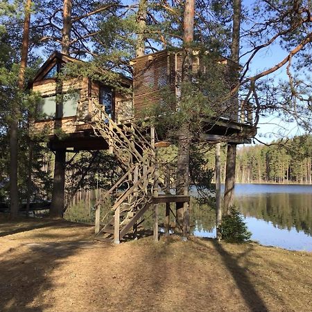 Treehouse Ciekurs Villa Dukuri Exterior photo