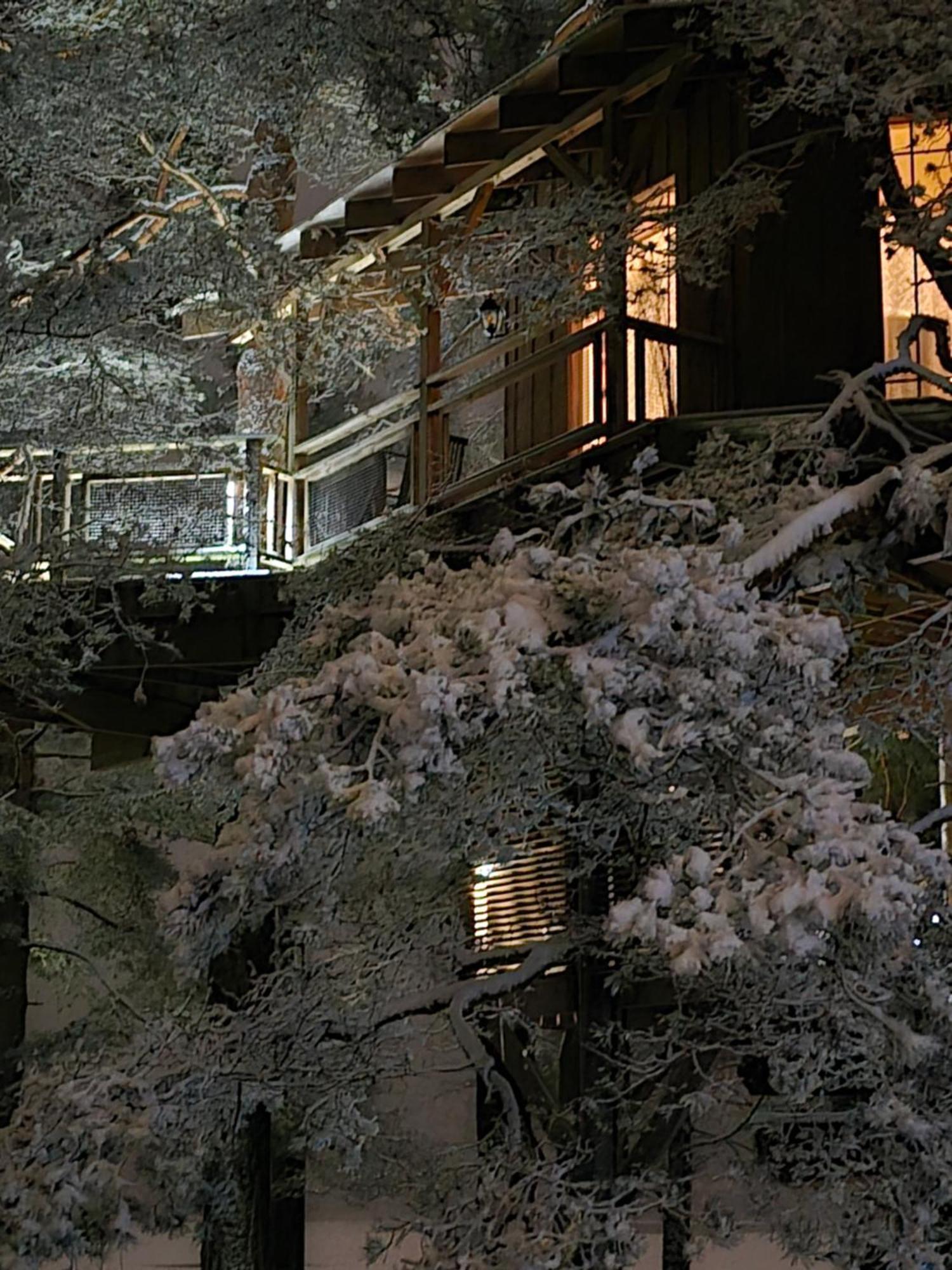 Treehouse Ciekurs Villa Dukuri Exterior photo