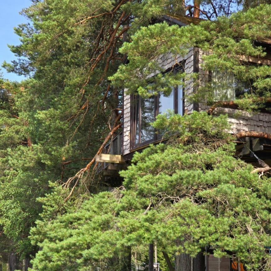 Treehouse Ciekurs Villa Dukuri Exterior photo