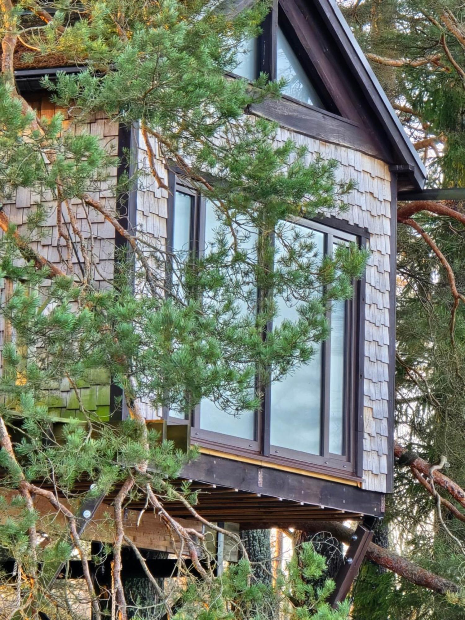 Treehouse Ciekurs Villa Dukuri Exterior photo